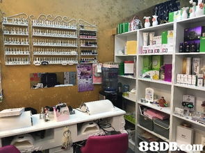 2020香港市廣場(chǎng)廚具衛(wèi)具及日用雜品零售價(jià)格與商戶資訊指南